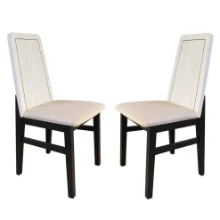 Juego de 2 sillas Roca Artic-Negro, 42,5×48,5×96 cm